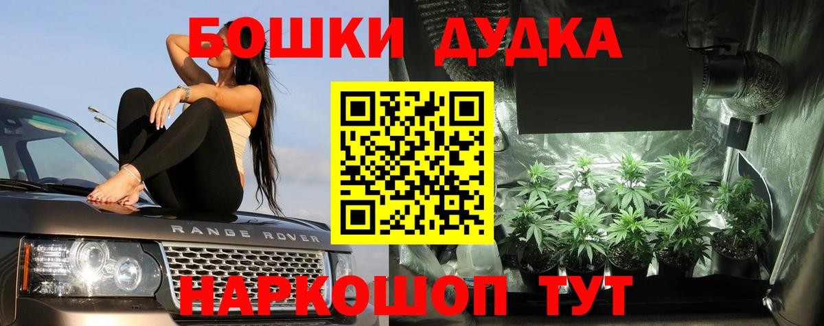 Карачаевск  Шишки марихуана OG Kush  Бошки Шишки индика  Вход с VPN  Каннабис Bruce Banner 